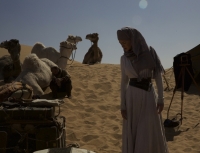 Королева пустыни (2015)